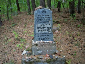 Old Jewish cemetary in Narewka. The Stones on the tombstone show that visitors have recently come to pay respects
