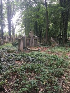 Exhibit 1. The New Jewish Cemetery. Field 6. June 6, 2017. 