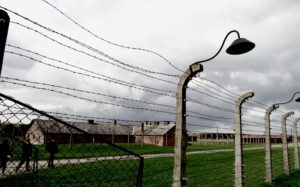 Cynthia_UL2_Auschwitz Fence