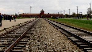 Cynthia_UL2_Auschwitz tracks