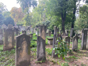 View of Wroclaw's Old Jewish Cemetary. Photo by Max Goldberg
