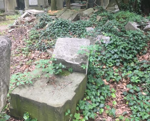 "The conditions found throughout the New Jewish Cemetery"