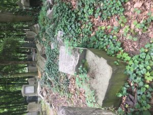 "The conditions found throughout the New Jewish Cemetery"