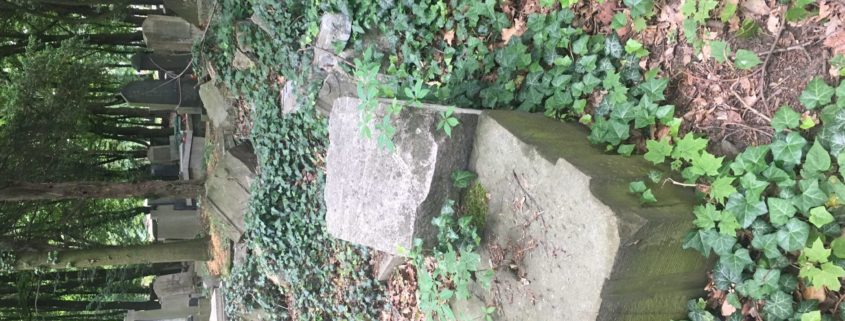 "The conditions found throughout the New Jewish Cemetery"