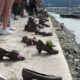 The Shoes on The Danube memorial in Budapest, marks a spot where thousands of Jews were shot into the Danube river.  This site is perhaps controversial for lacking descriptors, but it forces people to think about what had happened.