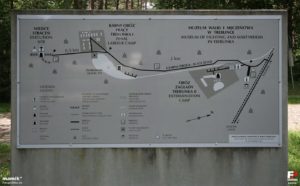 A map detailing the Treblinka grounds. Photo Bynmamik / fotopolska.eu, CC BY-SA 3.0.